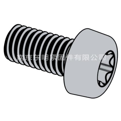 GB/ T 2672 - 2017 內六角花形盤頭螺釘